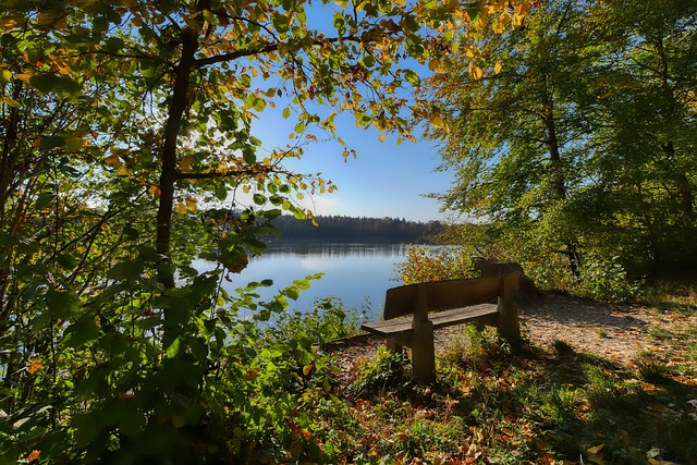 已展现出卓 已展现出卓
