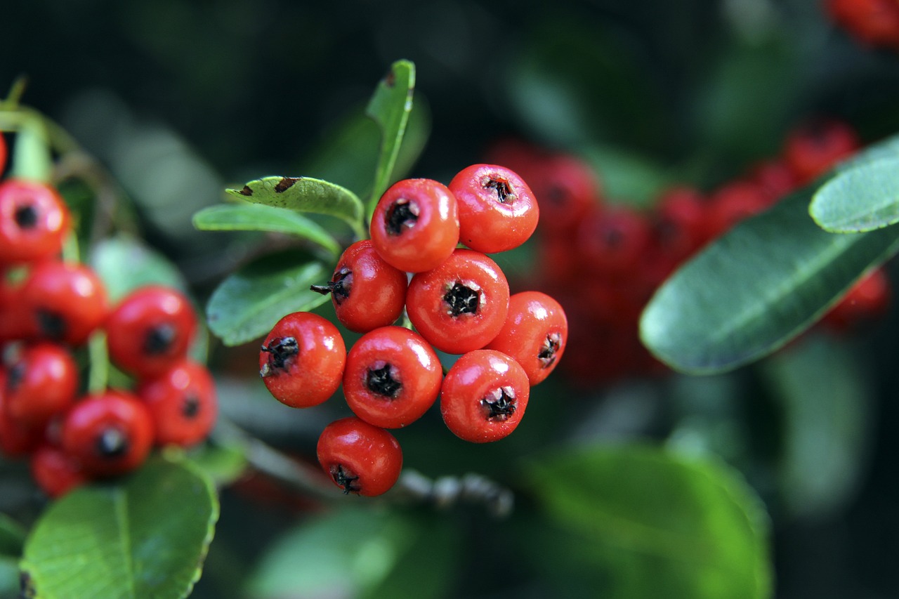 何帮助地方 何帮助地方