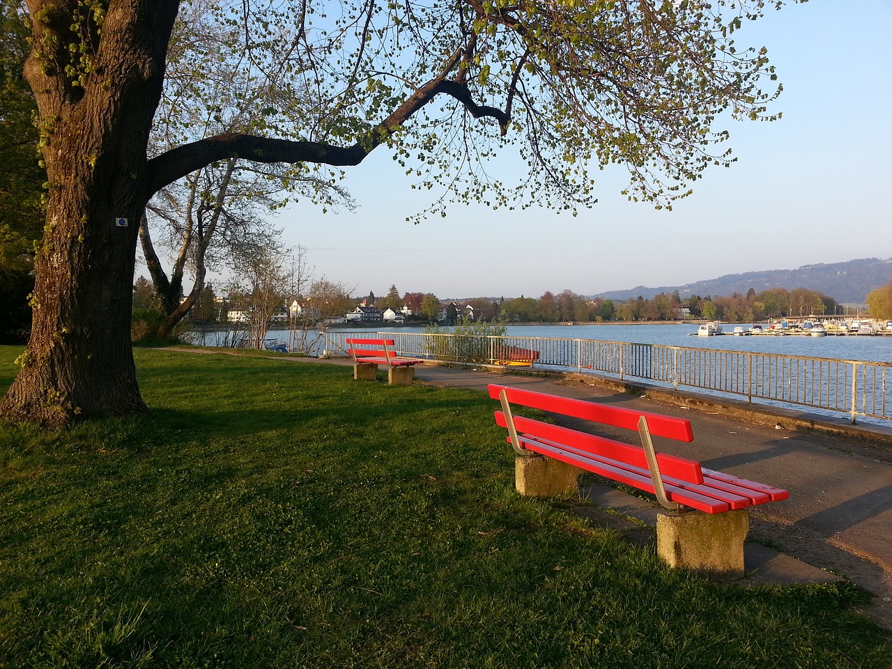 【中甲】广州队成为客场龙，阿雷格里亚斩获赛季第9球.