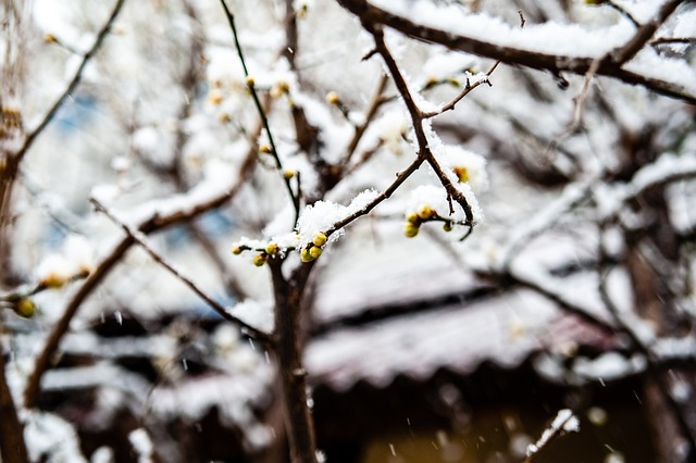 节奏掌控愈 节奏掌控愈